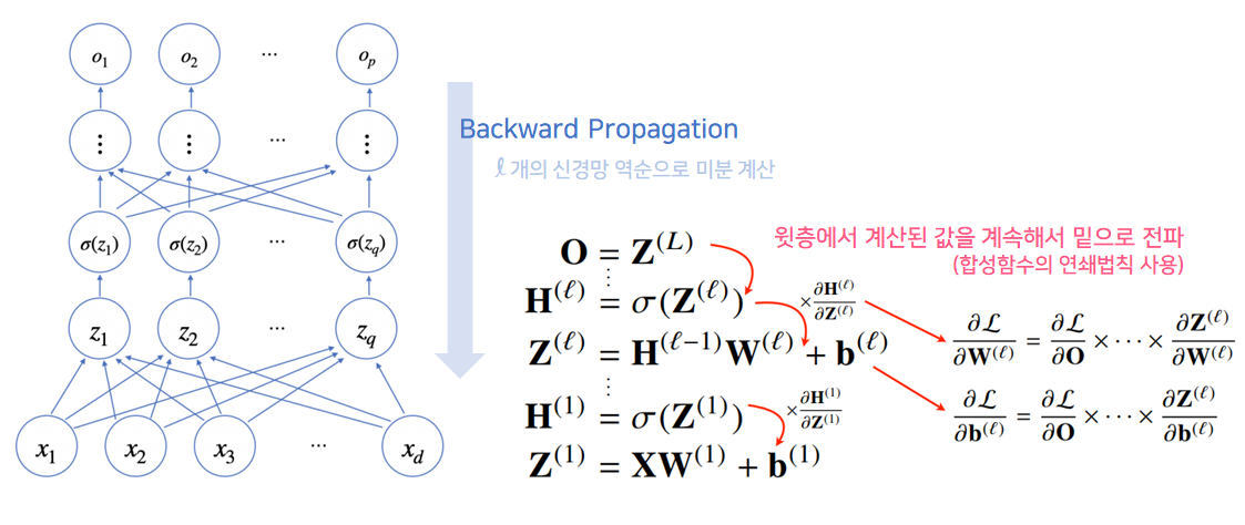 backpropagation